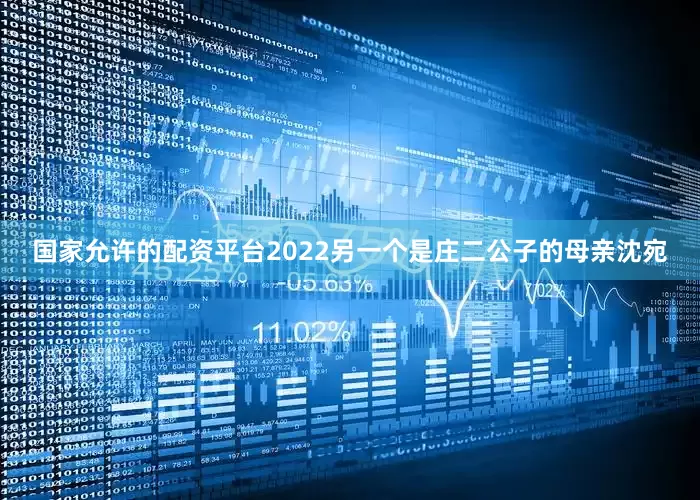 国家允许的配资平台2022另一个是庄二公子的母亲沈宛