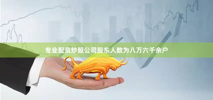 专业配资炒股公司股东人数为八万六千余户